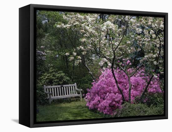 Edgewater, Maryland, USA-null-Framed Premier Image Canvas