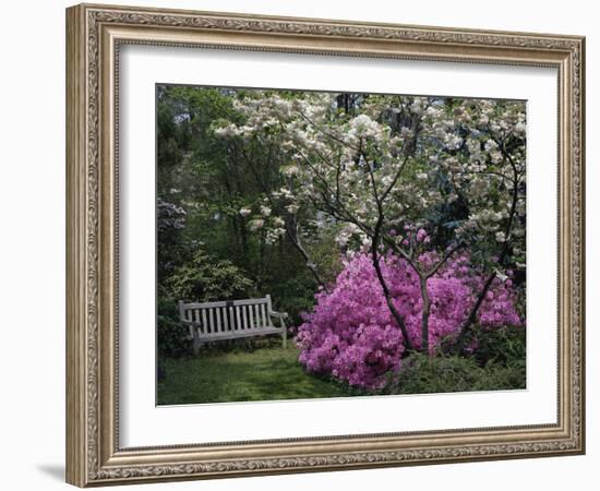 Edgewater, Maryland, USA-null-Framed Photographic Print