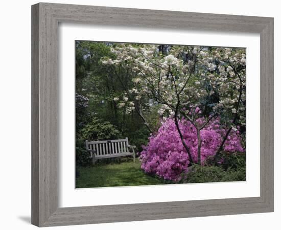 Edgewater, Maryland, USA-null-Framed Photographic Print