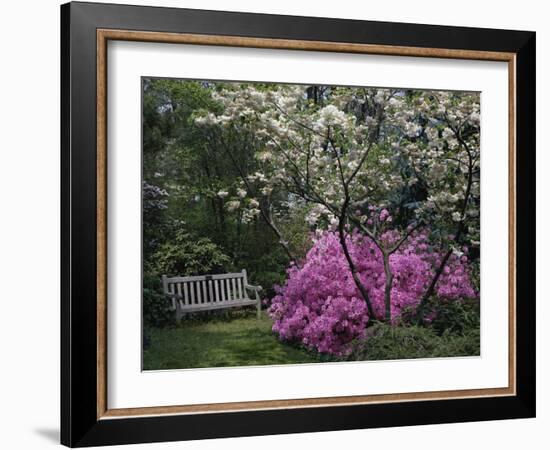 Edgewater, Maryland, USA-null-Framed Photographic Print