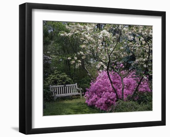 Edgewater, Maryland, USA-null-Framed Photographic Print