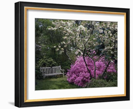 Edgewater, Maryland, USA-null-Framed Photographic Print