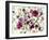 Edible Flowers and Sprouts-Luzia Ellert-Framed Photographic Print