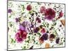 Edible Flowers and Sprouts-Luzia Ellert-Mounted Photographic Print