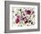 Edible Flowers and Sprouts-Luzia Ellert-Framed Photographic Print