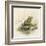 Edible Frog-null-Framed Art Print