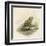 Edible Frog-null-Framed Art Print