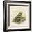 Edible Frog-null-Framed Art Print