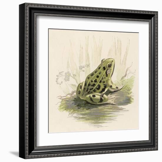 Edible Frog-null-Framed Art Print