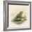 Edible Frog-null-Framed Art Print