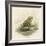 Edible Frog-null-Framed Art Print