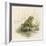 Edible Frog-null-Framed Art Print