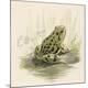 Premium Giclee Print