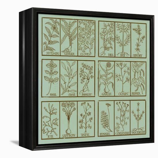 Edible herbs-Science Source-Framed Premier Image Canvas