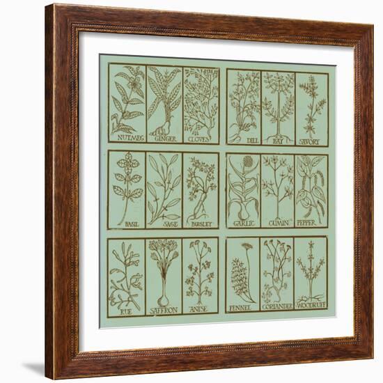 Edible herbs-Science Source-Framed Giclee Print