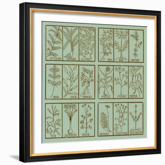 Edible herbs-Science Source-Framed Giclee Print