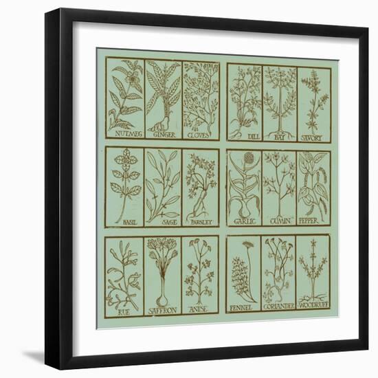 Edible herbs-Science Source-Framed Giclee Print