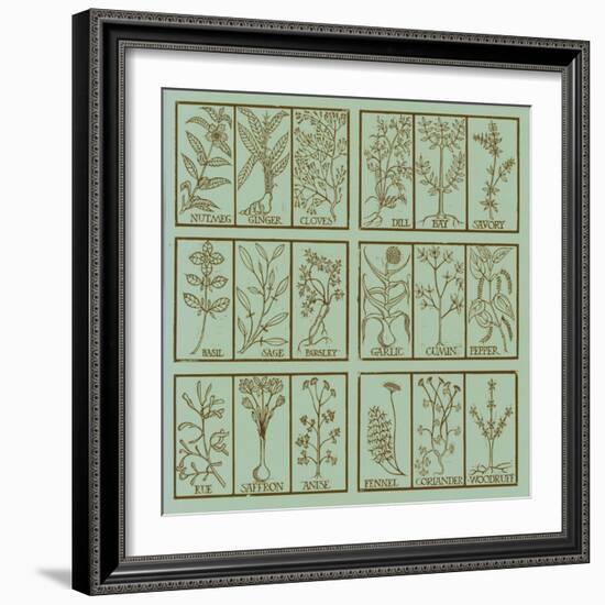 Edible herbs-Science Source-Framed Giclee Print