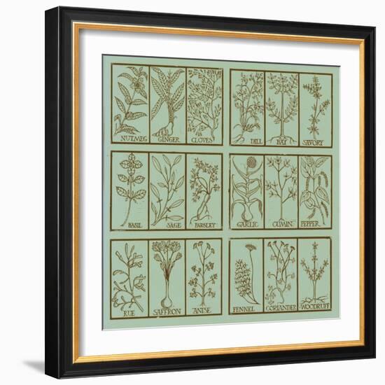 Edible herbs-Science Source-Framed Giclee Print