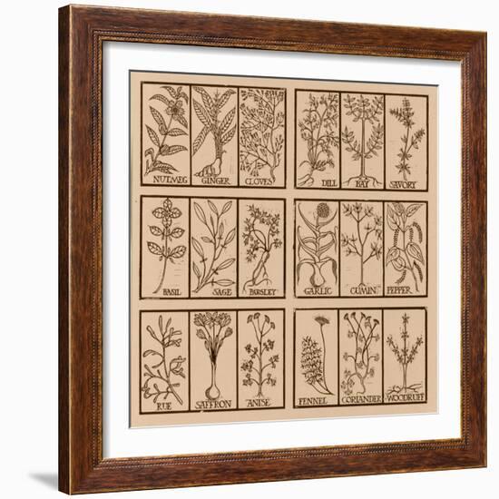 Edible herbs-Science Source-Framed Giclee Print