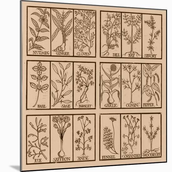 Edible herbs-Science Source-Mounted Giclee Print