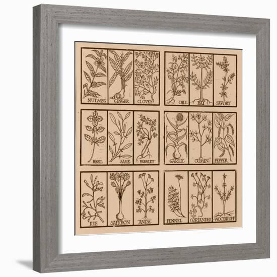 Edible herbs-Science Source-Framed Giclee Print