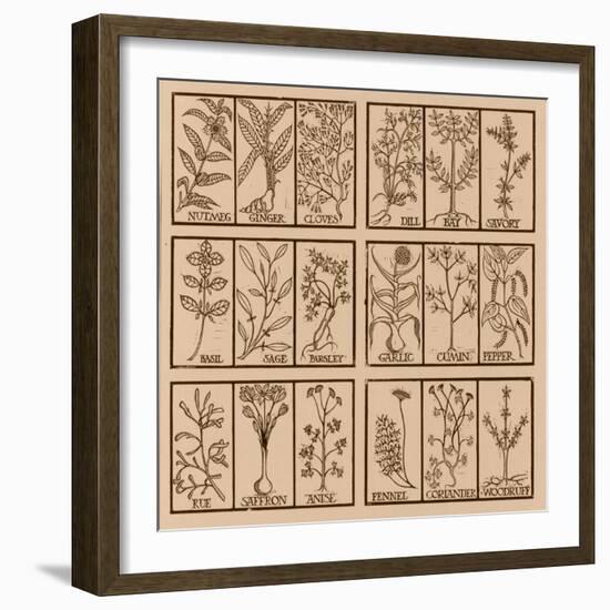 Edible herbs-Science Source-Framed Giclee Print