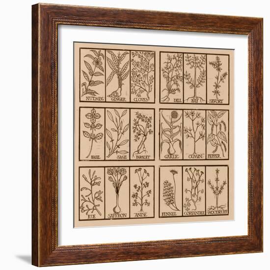 Edible herbs-Science Source-Framed Giclee Print