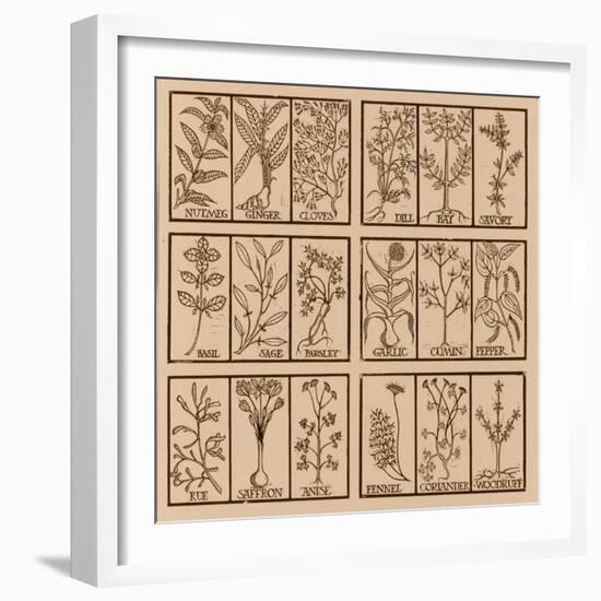 Edible herbs-Science Source-Framed Giclee Print