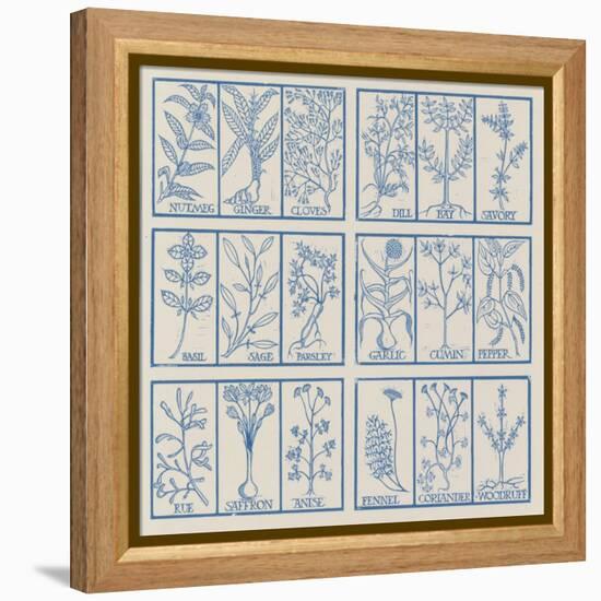 Edible herbs-Science Source-Framed Premier Image Canvas