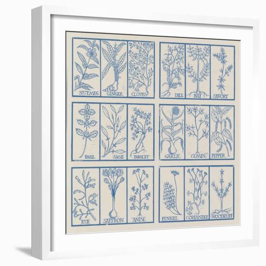 Edible herbs-Science Source-Framed Giclee Print