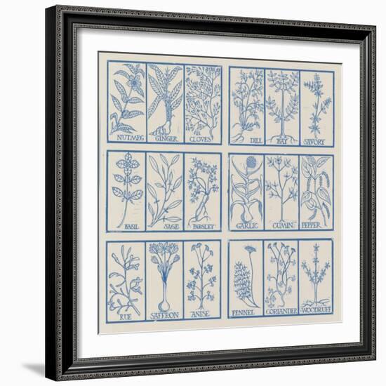 Edible herbs-Science Source-Framed Giclee Print