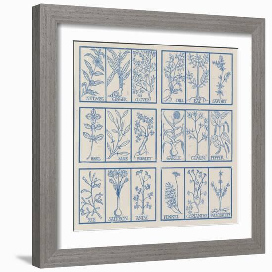 Edible herbs-Science Source-Framed Giclee Print