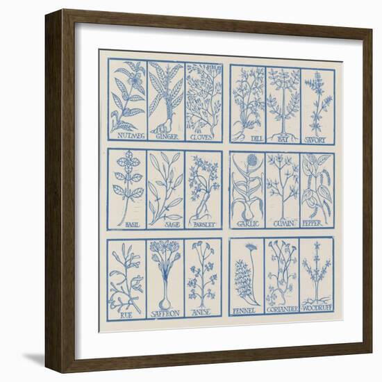 Edible herbs-Science Source-Framed Giclee Print