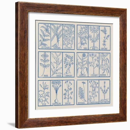 Edible herbs-Science Source-Framed Giclee Print