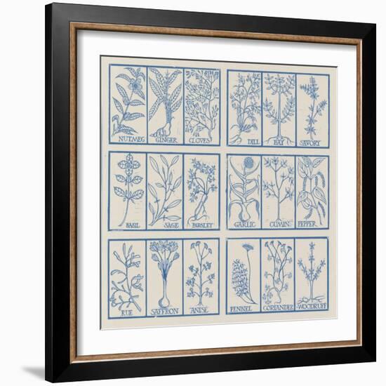 Edible herbs-Science Source-Framed Giclee Print