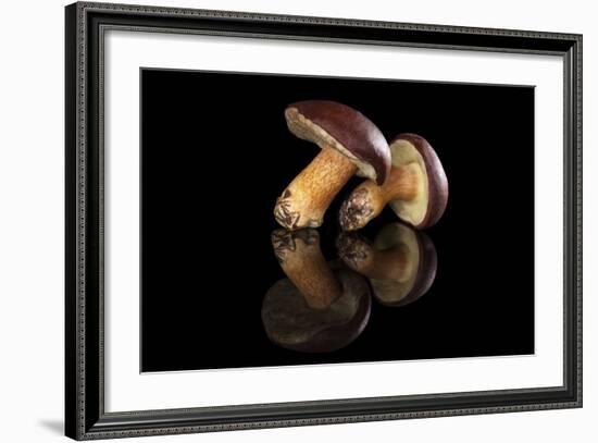 Edible Mushroooms-Eskymaks-Framed Photographic Print