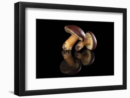 Edible Mushroooms-Eskymaks-Framed Photographic Print