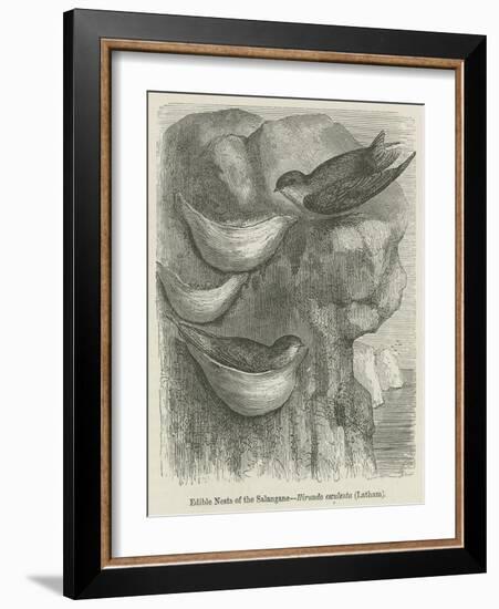 Edible Nests of the Salangane-null-Framed Giclee Print