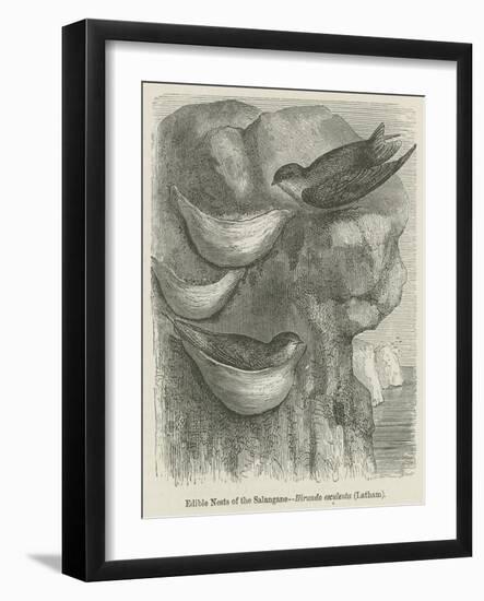 Edible Nests of the Salangane-null-Framed Giclee Print