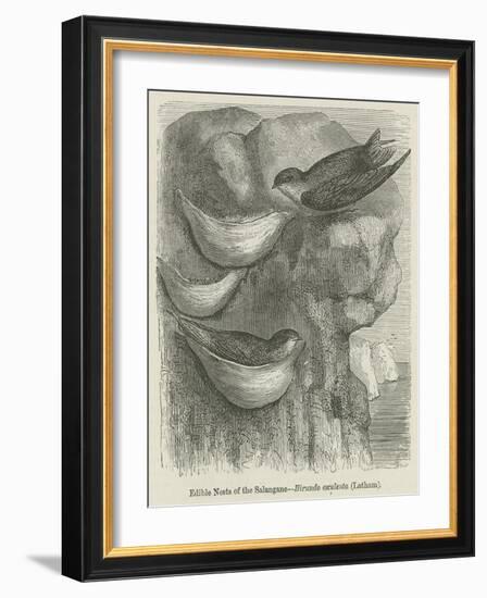 Edible Nests of the Salangane-null-Framed Giclee Print