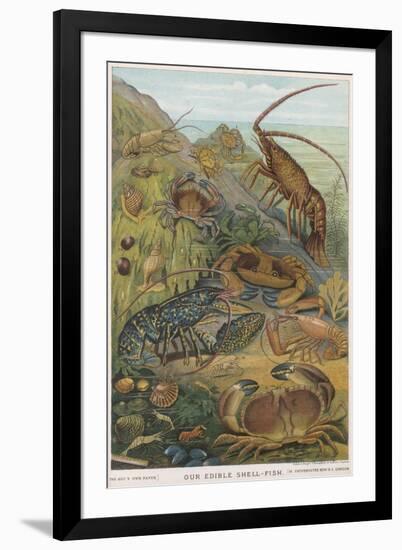 Art Print, , large