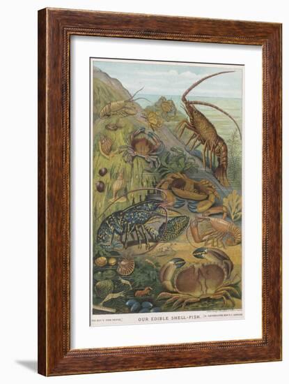 Edible Shellfish-null-Framed Art Print