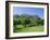 Edinburgh Castle and Gardens, Edinburgh, Lothian, Scotland, UK, Europe-Roy Rainford-Framed Photographic Print