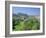 Edinburgh Castle and Gardens, Edinburgh, Lothian, Scotland, UK, Europe-Roy Rainford-Framed Photographic Print