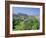 Edinburgh Castle and Gardens, Edinburgh, Lothian, Scotland, UK, Europe-Roy Rainford-Framed Photographic Print