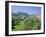 Edinburgh Castle and Gardens, Edinburgh, Lothian, Scotland, UK, Europe-Roy Rainford-Framed Photographic Print