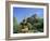 Edinburgh Castle, Edinburgh, Lothian, Scotland, UK, Europe-Roy Rainford-Framed Photographic Print