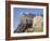 Edinburgh Castle, Edinburgh, Lothian, Scotland, United Kingdom-R H Productions-Framed Photographic Print