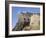 Edinburgh Castle, Edinburgh, Lothian, Scotland, United Kingdom-R H Productions-Framed Photographic Print